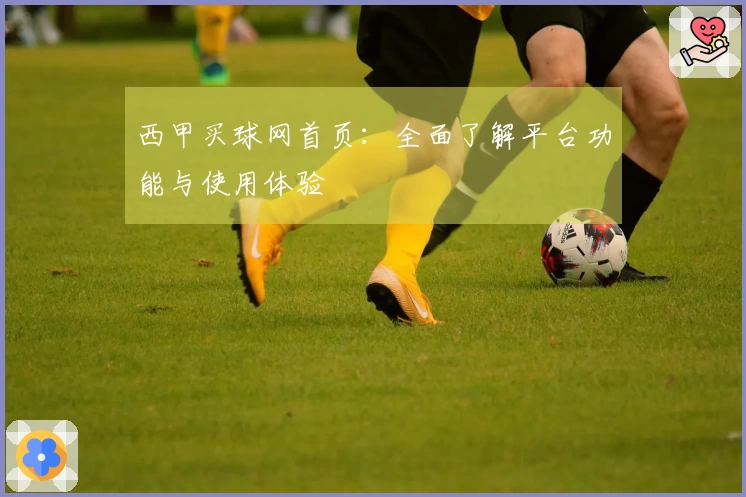 西甲买球网首页：全面了解平台功能与使用体验