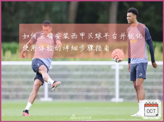 如何正确安装西甲买球平台并优化使用体验的详细步骤指南